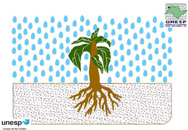 foz_22_out_2013 (9).JPG